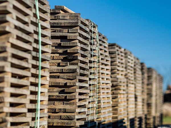 Aged wood, ready to go to the cooperage